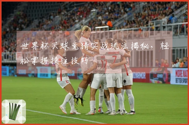 世界杯买球竞猜实战玩法揭秘，轻松掌握投注技巧