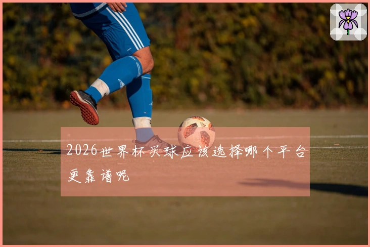 2026世界杯买球应该选择哪个平台更靠谱呢