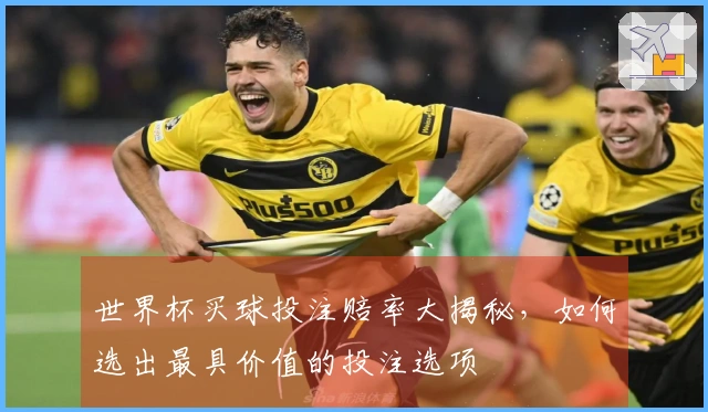 世界杯买球投注赔率大揭秘，如何选出最具价值的投注选项