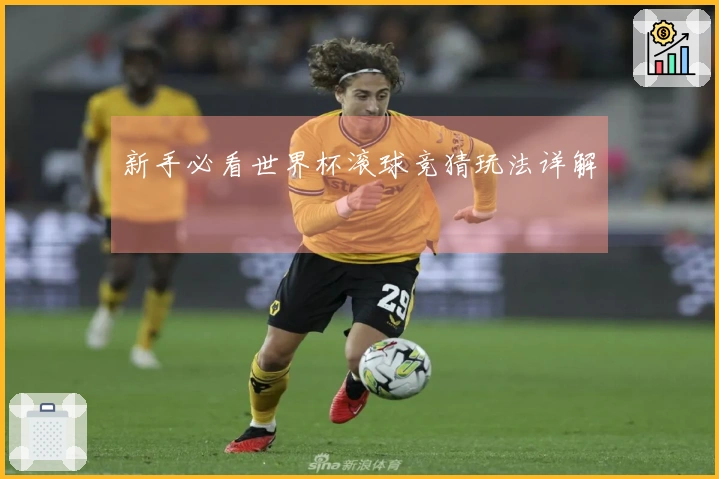 新手必看世界杯滚球竞猜玩法详解