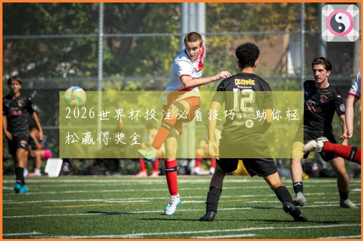 2026世界杯投注必看技巧，助你轻松赢得奖金