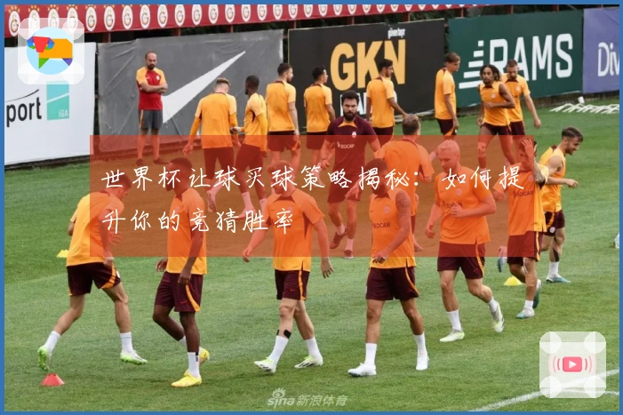 世界杯让球买球策略揭秘：如何提升你的竞猜胜率
