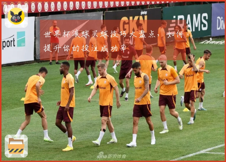 世界杯滚球买球技巧大盘点，如何提升你的投注成功率