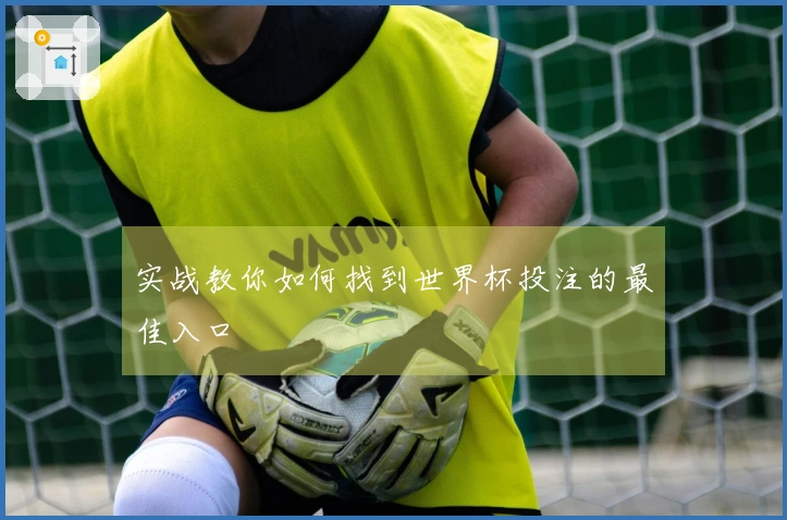 实战教你如何找到世界杯投注的最佳入口