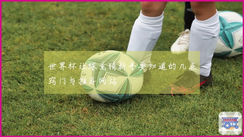 世界杯让球竞猜新手要知道的几点窍门与推荐网站