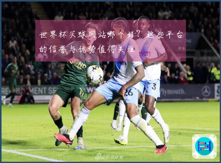 世界杯买球网站哪个好？这些平台的信誉与优势值得关注