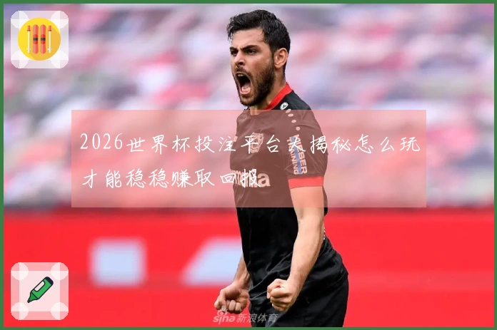 2026世界杯投注平台大揭秘怎么玩才能稳稳赚取回报