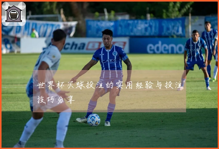 世界杯买球投注的实用经验与投注技巧分享