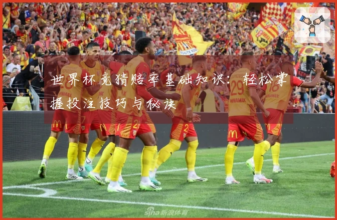 世界杯竞猜赔率基础知识：轻松掌握投注技巧与秘诀