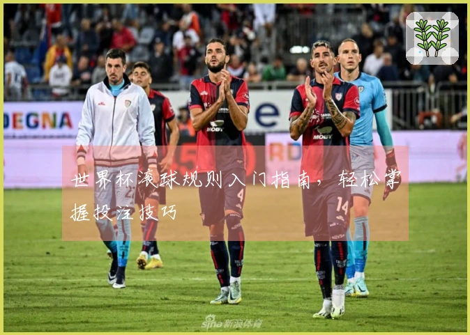 世界杯滚球规则入门指南，轻松掌握投注技巧