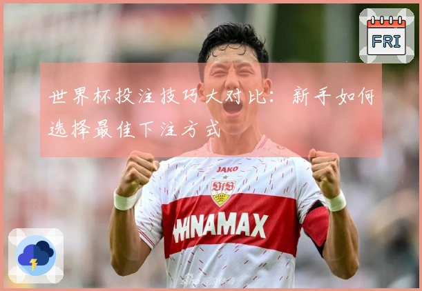 世界杯投注技巧大对比：新手如何选择最佳下注方式
